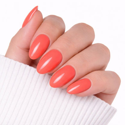 מארז עפרונות לק של ניילי